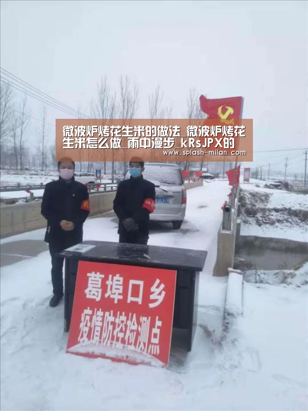 微波炉烤花生米的做法_微波炉烤花生米怎么做_雨中漫步_kRsJPX的菜谱【米兰体