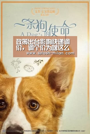 政策出台影响快递调价，调个价为啥这么难？