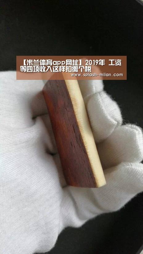 【米兰体育app网址】2019年 工资等四项收入这样扣缴个税